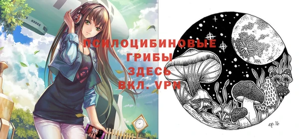2c-b Алзамай