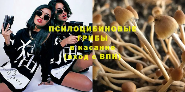 сатива Алексин