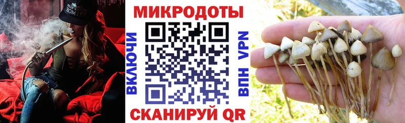 Псилоцибиновые грибы мицелий Торопец