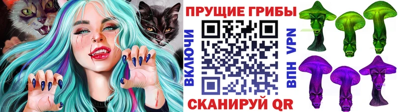 Галлюциногенные грибы Magic Shrooms  Торопец 